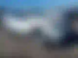 Vehicle Image- 2021 Toyota RAV4