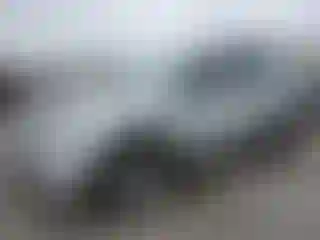 Vehicle Image- 2015 Toyota RAV4