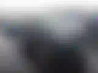 Vehicle Image- 2017 Toyota RAV4