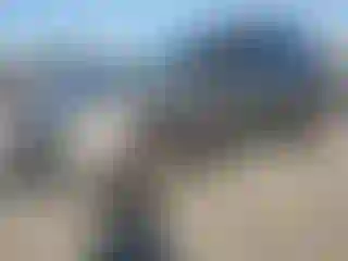 Vehicle Image- 2015 Toyota RAV4