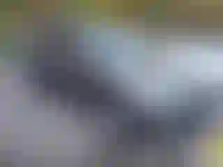 Vehicle Image- 2014 Toyota RAV4