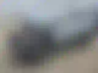 Vehicle Image- 2017 Toyota RAV4