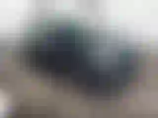 Vehicle Image- 2017 Toyota RAV4