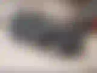 Vehicle Image- 2021 Toyota RAV4
