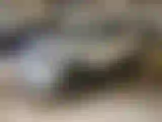 Vehicle Image- 2018 Toyota RAV4