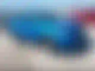 Vehicle Image- 2018 Toyota RAV4