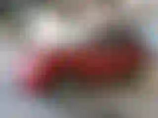 Vehicle Image- 2014 Toyota RAV4