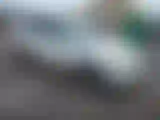 Vehicle Image- 2006 Toyota RAV4