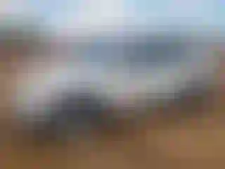 Vehicle Image- 2007 Toyota RAV4