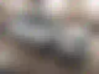 Vehicle Image- 2008 Toyota RAV4