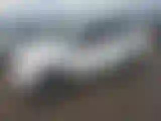 Vehicle Image- 2007 Toyota RAV4