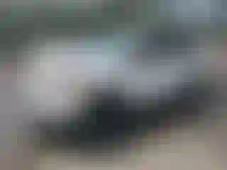 Vehicle Image- 2008 Toyota RAV4