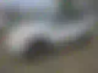 Vehicle Image- 2006 Toyota RAV4