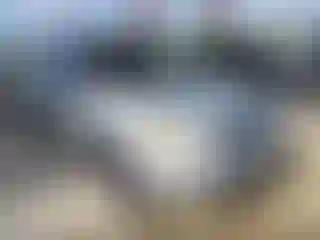 Vehicle Image- 2007 Toyota RAV4