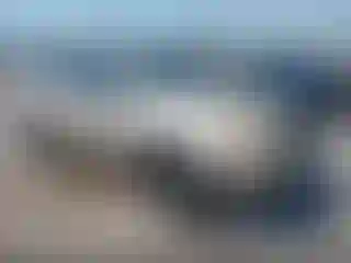 Vehicle Image- 2008 Toyota RAV4