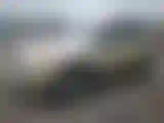 Vehicle Image- 2006 Toyota RAV4