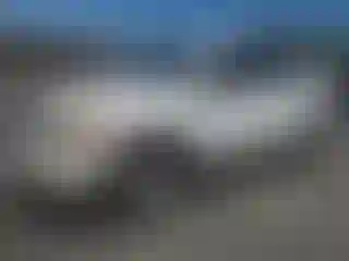 Vehicle Image- 2007 Toyota RAV4