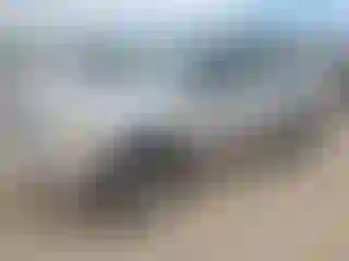 Vehicle Image- 2008 Toyota RAV4
