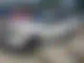Vehicle Image- 2008 Toyota RAV4