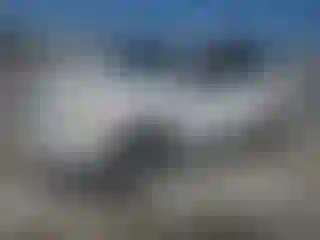 Vehicle Image- 2007 Toyota RAV4