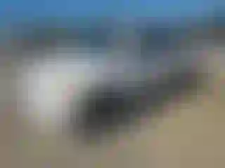 Vehicle Image- 2009 Toyota RAV4