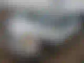 Vehicle Image- 2010 Toyota RAV4