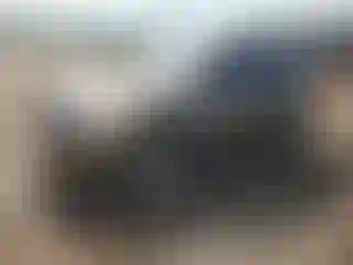 Vehicle Image- 2010 Toyota RAV4