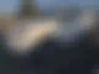 Vehicle Image- 2016 Toyota RAV4