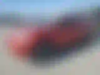 Vehicle Image- 2017 Toyota RAV4