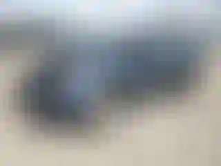 Vehicle Image- 2014 Toyota RAV4
