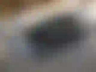 Vehicle Image- 2017 Toyota RAV4