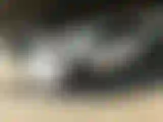 Vehicle Image- 2018 Toyota RAV4