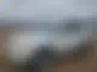 Vehicle Image- 2008 Toyota RAV4