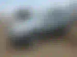 Vehicle Image- 2008 Toyota RAV4