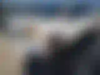 Vehicle Image- 2009 Toyota RAV4