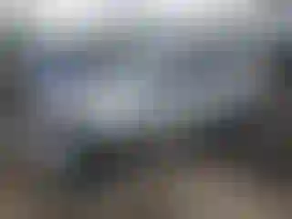 Vehicle Image- 2009 Toyota RAV4