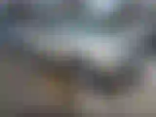 Vehicle Image- 2006 Toyota RAV4