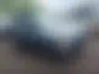 Vehicle Image- 2008 Toyota RAV4