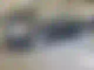 Vehicle Image- 2018 Toyota Camry