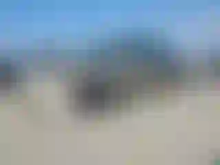 Vehicle Image- 2007 Toyota Camry