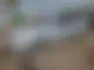 Vehicle Image- 2009 Toyota Camry