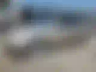 Vehicle Image- 2007 Toyota Camry