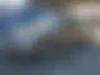 Vehicle Image- 2007 Toyota Camry