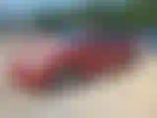 Vehicle Image- 2007 Toyota Camry