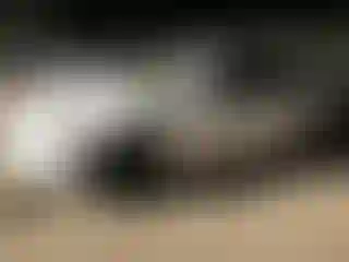 Vehicle Image- 2007 Toyota Camry