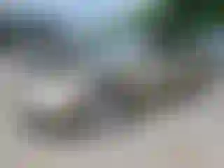 Vehicle Image- 2007 Toyota Camry