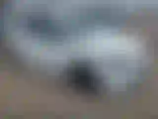 Vehicle Image- 2024 Toyota Corolla