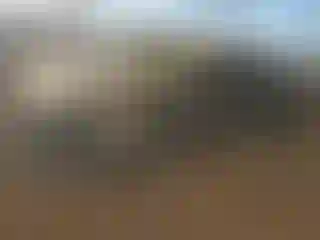 Vehicle Image- 2024 Toyota Corolla