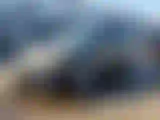 Vehicle Image- 2019 Toyota Corolla