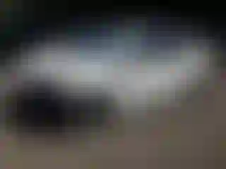 Vehicle Image- 2017 Toyota Corolla